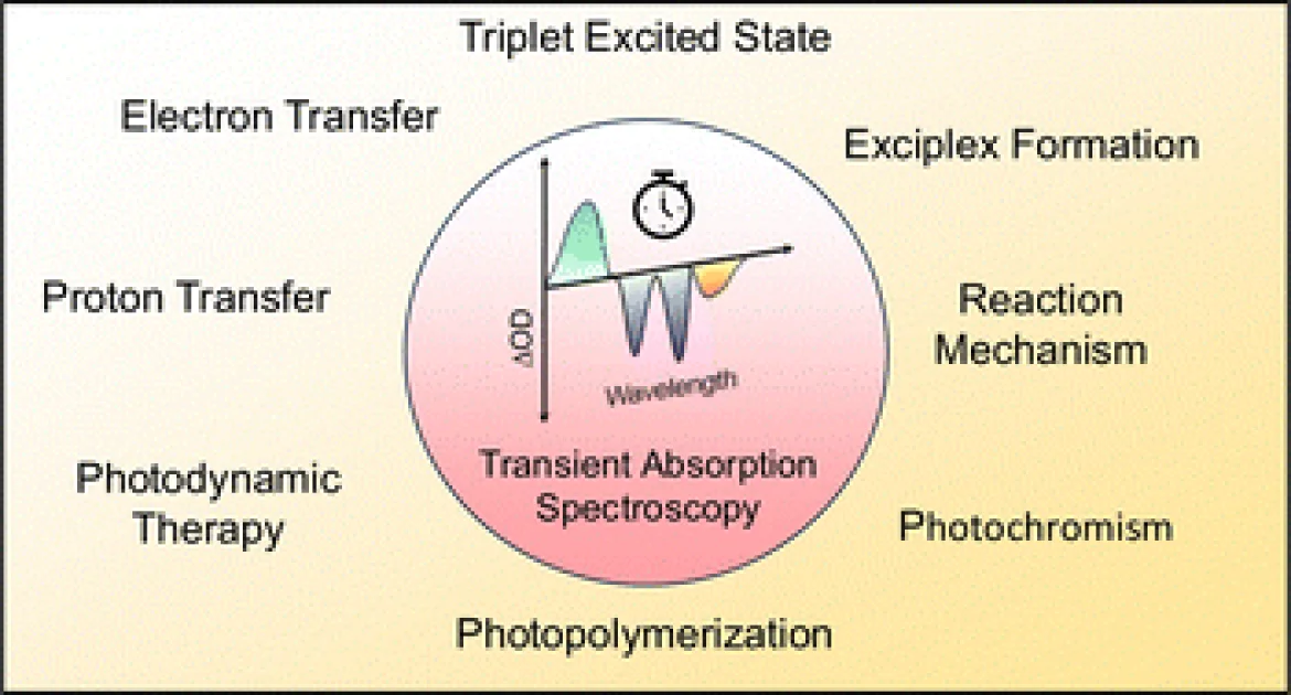 Spektroskopi Absorpsi Transient: Alat Mekanistik untuk Sensitizer Triplet dan Aplikasi Inovatifnya